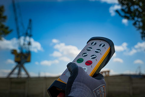 Customized crane remote control